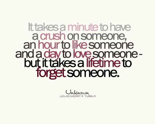 ... and a day to love someone, but it takes a lifetime to forget someone