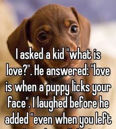 I asked a kid “what is love?”. He answered: “love is when a puppy licks your face”. I laughed before he added “even when you left him alone all day”.