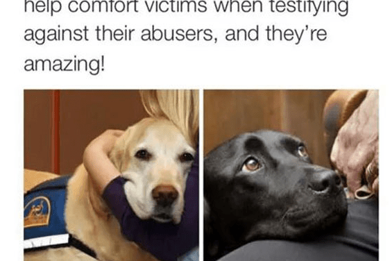 Do You Swear To Be a Good Boy And Nothing But A Good Boy?
