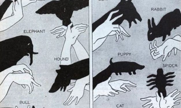 Shadow Puppets Youtube Video – Best Hand Animals | The WHOot