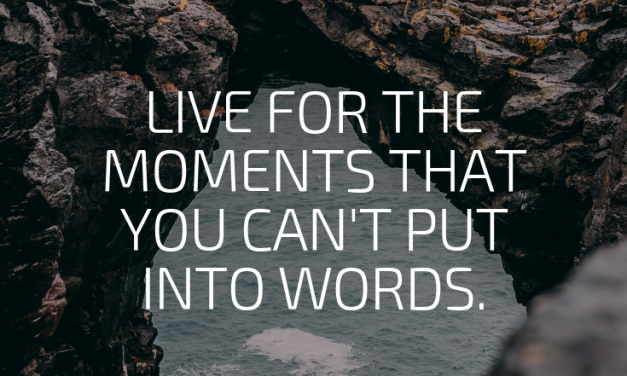 Best Happiness Quotes So You Can Have A Great Day Today