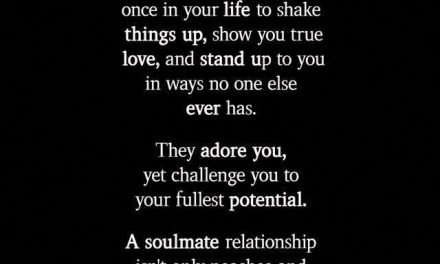 A soulmate  usually only comes once in your life to shake things up,