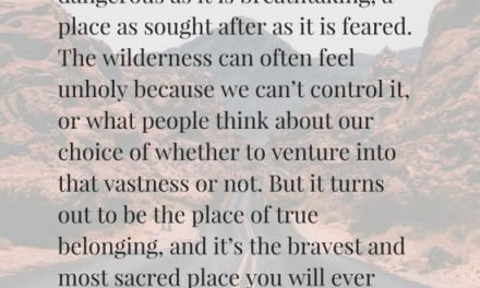 Inspiring Brené Brown Quotes from Braving the Wilderness (and a Review) — Becoming Who You Are